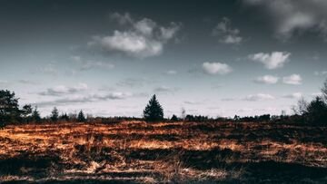 Nel 2020 deforestazione record in tutto il mondo