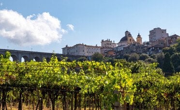 Lazio, terra di rinascite: i vitigni autoctoni che stanno cambiando il volto del vino regionale