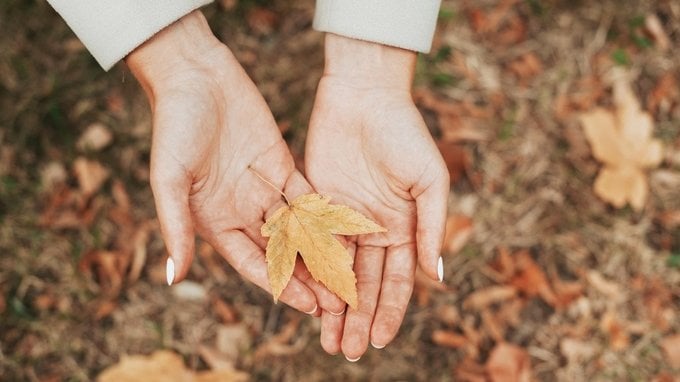 Quando arriva l'autunno 2025, data e ora dell'equinozio di fine estate