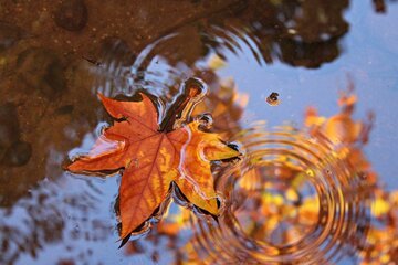 Quando arriva l'autunno 2023, data e ora dell'equinozio di fine estate
