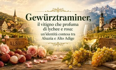 Gewürztraminer, il vitigno che profuma di lychee e rosa: un'identità contesa tra Alsazia e Alto Adige