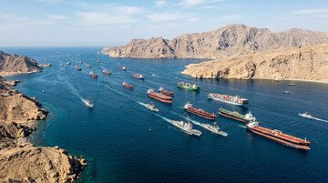 Sei favorevole all'invio di navi cacciamine italiane nello stretto di Hormuz? Il sondaggio di Money.it