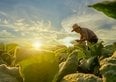 Bonus agricoltura 2025, fino a 800.000 euro per miglioramenti in azienda