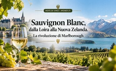 Sauvignon Blanc, dalla Loira alla Nuova Zelanda. La rivoluzione di Marlborough