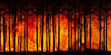 Crisi climatica: quale impatto sul PIL mondiale?
