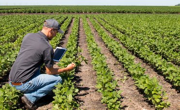 Detrazioni interessi mutui agrari nel modello 730/2026, istruzioni