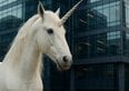 La Silicon Valley è piena di “unicorni zombie”, secondo The Economist