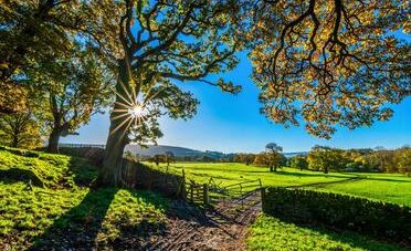 È legale recintare un terreno agricolo?