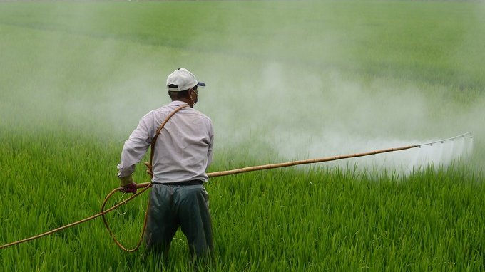 Trovato un pesticida che fa male a neonati e bambini: stop negli USA
