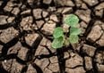 Cambiamento climatico, tutte le conseguenze per il mondo del lavoro