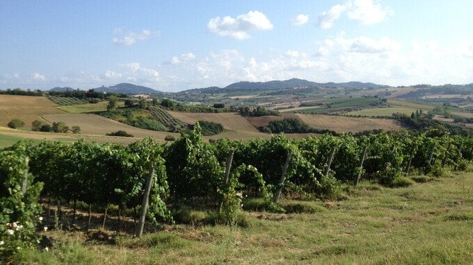 San Patrignano, dove si trova la comunità e come si entra