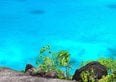 Lavoro dei sogni alle Seychelles con alloggio gratuito. Cercano guide per un'isola privata