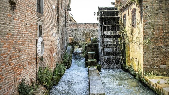 Questo giardino botanico è il più antico del mondo ed è a 3 ore da Milano