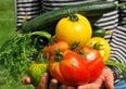 Bonus agricoltura 2026, arriva la proroga. Ecco a chi spetta e come presentare la domanda