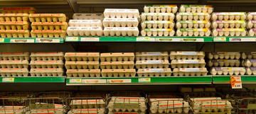 Uova con salmonella: marchi e lotti ritirati in Italia
