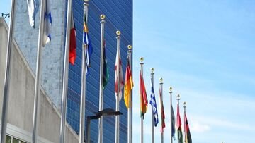 Cina, Russia e Arabia Saudita nel Consiglio per i diritti umani dell'ONU. Proteste in tutto il mondo