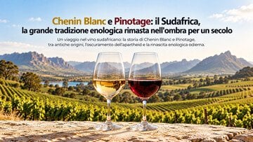 Chenin Blanc e Pinotage. Il Sudafrica, la grande tradizione enologica rimasta nell'ombra per un secolo