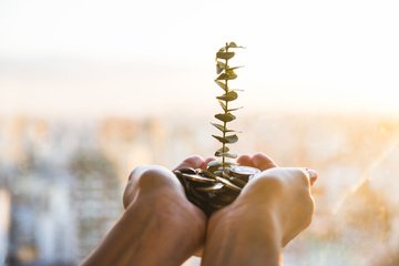 La nuova frontiera dell'innovazione. Il manifesto ESG di Italian Tech Alliance