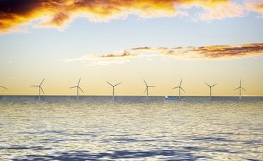 Transizione energetica a rischio in Germania? L'AfD vuole imporre limitazioni all'eolico