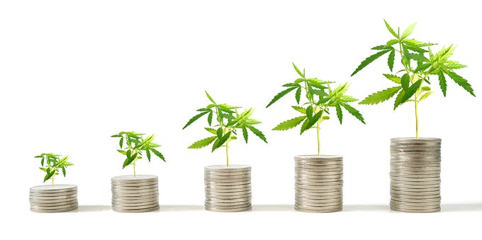Azioni: gli investitori di Reddit puntano sulla Cannabis (e questi titoli volano)