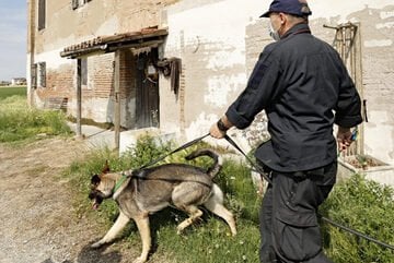 Agricoltura, intensificati i controlli dei Carabinieri. Ecco a cosa stare attenti