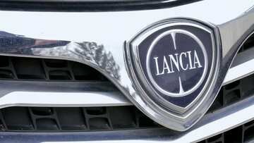 Lancia come Alfa Romeo per Stellantis?