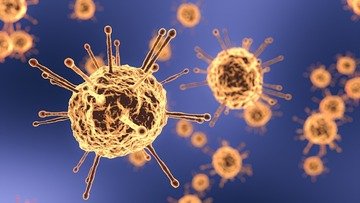 Variante R.1 Covid: resistente agli anticorpi, dove si trova
