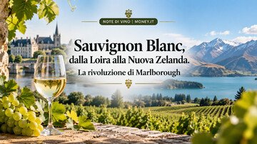 Sauvignon Blanc, dalla Loira alla Nuova Zelanda. La rivoluzione di Marlborough