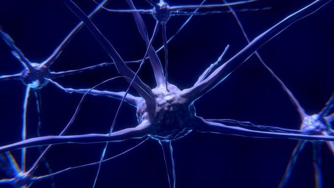 Neuropricing, la scienza dietro i prezzi che ti convincono a comprare