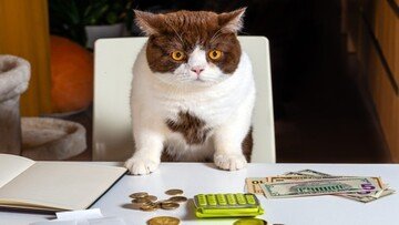 I gatti più ricchi del mondo
