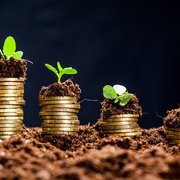 Cingolani, la transizione ecologica e il “debito” del progresso