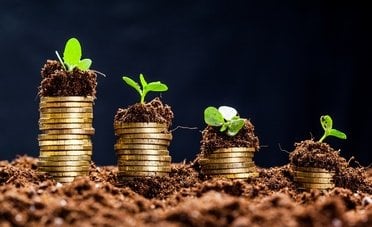 Cosa sono i green bond? La guida alle obbligazioni verdi