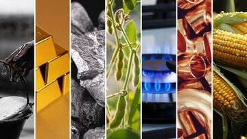 Ma quale oro. Sarà questa la materia prima del 2026