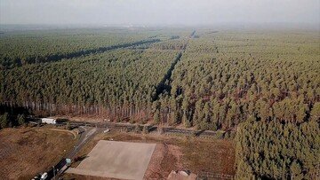 Tesla: bloccati i lavori per lo stabilimento europeo