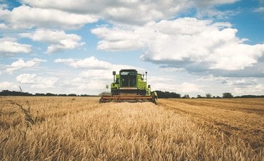 Bonus agricoltura 2026, come ottenere fino a 300.000 euro per i lavori in azienda