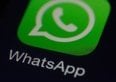 WhatsApp cambia look. Si potrà scegliere tra 49 colori