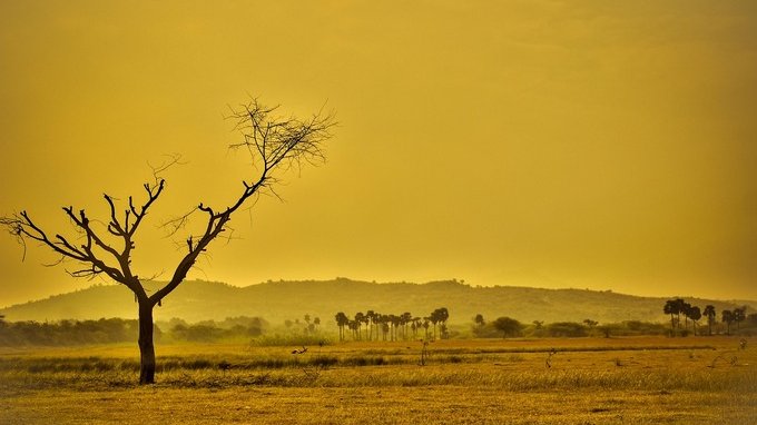 BlackRock: il cambiamento climatico può costare il 25% del PIL globale in 20 anni