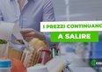 Allarme Istat, una famiglia su tre taglia la spesa alimentare