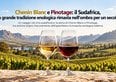 Chenin Blanc e Pinotage. Il Sudafrica, la grande tradizione enologica rimasta nell'ombra per un secolo