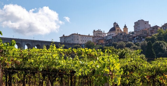 Lazio, terra di rinascite: i vitigni autoctoni che stanno cambiando il volto del vino regionale