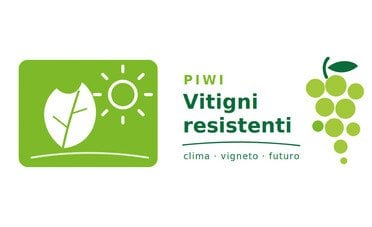 Vitigni resistenti e ibridi PIWI. Il futuro (internazionale) del vino nell'era del climate change
