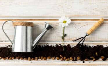 Si possono bruciare le sterpaglie in giardino?