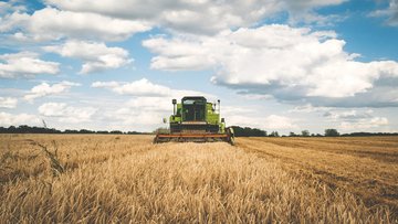 Fondo perduto imprese agricole: a chi spetta e per quali spese