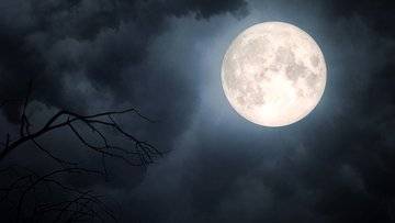 Come prenotare una camera nel primo hotel sulla Luna