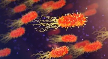 Ameba mangia-cervello nell'acqua potabile, è allarme. Cos'è, rischi e sintomi