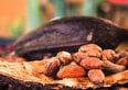 Il prezzo del cioccolato potrebbe aumentare sempre di più in Europa