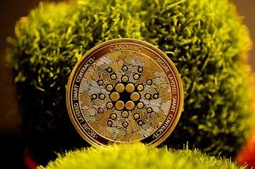 Cardano: le previsioni per il 2022