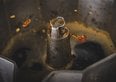 In Corea del Sud trasformano il caffè in un'alternativa al carbone in soli 90 secondi