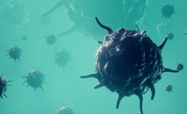 Hantavirus in Italia, ecco le indicazioni del ministero della Salute