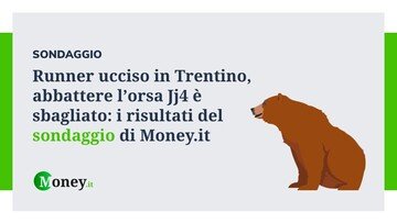 Runner ucciso in Trentino, abbattere l'orsa Jj4 è sbagliato: i risultati del sondaggio